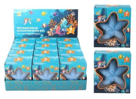 Ocean fossielhakken gips