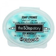 Soap-sponge